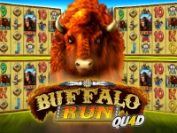 Buffalo Run Quad