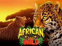 African Wild