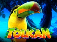 Toucan