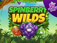 Spinberry Wilds