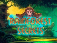 Rainforest Secrets