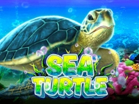 Sea Turtle