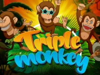 Triple Monkey