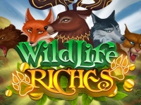 Wildlife Riches