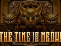 The Time is Meow