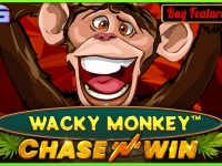 Wacky Monkey Chase 'N' Win