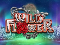 Wild Flower