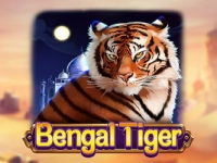 Bengal Tiger