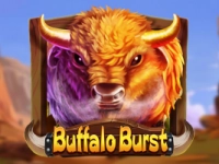 Buffalo Burst