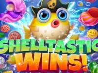 Shelltastic Wins!