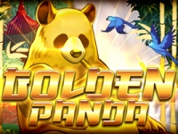 Golden Panda