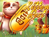 Kitten Rest 3x3