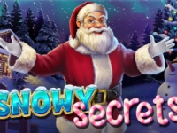 Snowy Secrets