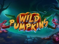 Wild Pumpkins