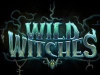 Wild Witches