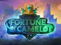 Fortune of Camelot