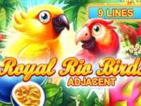 Royal Rio Birds