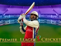 Premier League Cricket