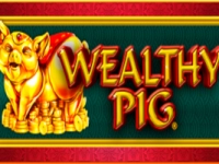 Wealthy Pig