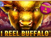 1 Reel Buffalo