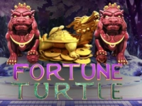 Fortune Turtle