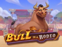 Bull in a Rodeo