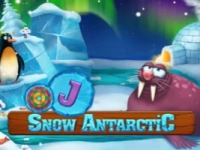 Snow Antarctic