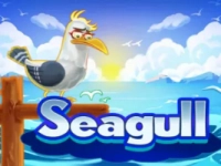 Seagull