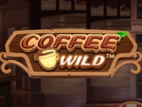 Coffee Wild