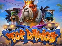 Top DawG's