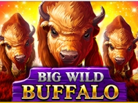 Big Wild Buffalo