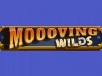 Moooving Wilds